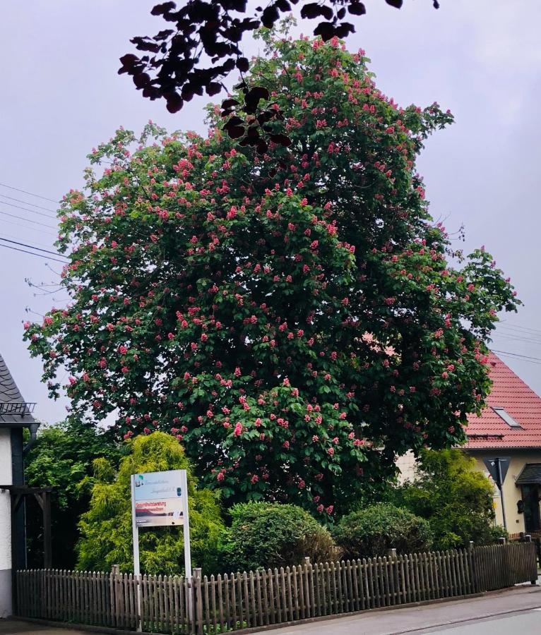 Gemuetliche Fewo Naehe Hachenburg, Bad Marienberg Langenbach bei Kirburg Esterno foto